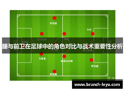 腰与前卫在足球中的角色对比与战术重要性分析