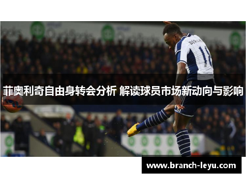 菲奥利奇自由身转会分析 解读球员市场新动向与影响