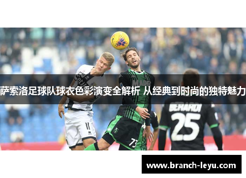 萨索洛足球队球衣色彩演变全解析 从经典到时尚的独特魅力