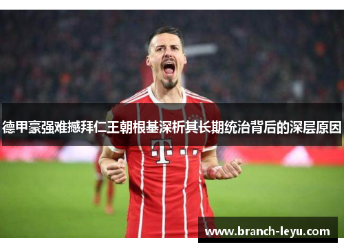 德甲豪强难撼拜仁王朝根基深析其长期统治背后的深层原因