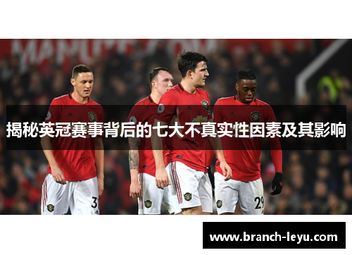 揭秘英冠赛事背后的七大不真实性因素及其影响