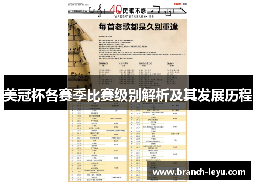 美冠杯各赛季比赛级别解析及其发展历程