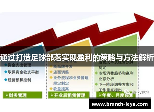 通过打造足球部落实现盈利的策略与方法解析 通过打造足球部落实现盈利的策略与方法解析