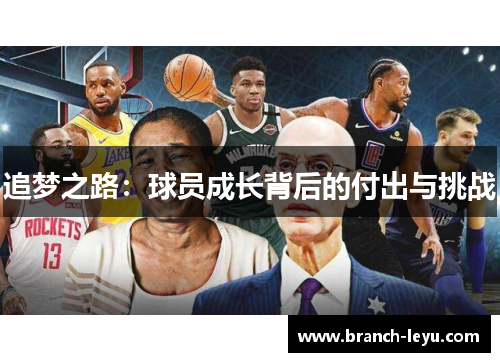 追梦之路：球员成长背后的付出与挑战