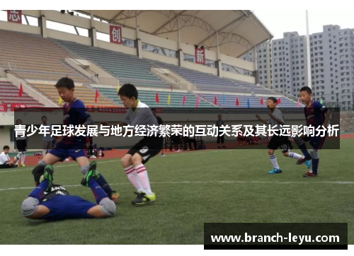 青少年足球发展与地方经济繁荣的互动关系及其长远影响分析 青少年足球发展与地方经济繁荣的互动关系及其长远影响分析