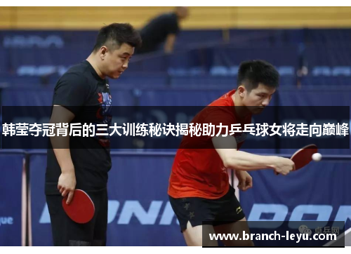 韩莹夺冠背后的三大训练秘诀揭秘助力乒乓球女将走向巅峰