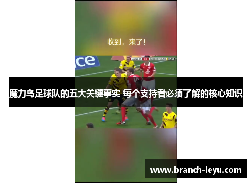 魔力鸟足球队的五大关键事实 每个支持者必须了解的核心知识