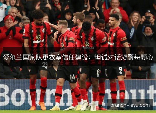 爱尔兰国家队更衣室信任建设:坦诚对话凝聚每颗心 爱尔兰国家队更衣室信任建设:坦诚对话凝聚每颗心